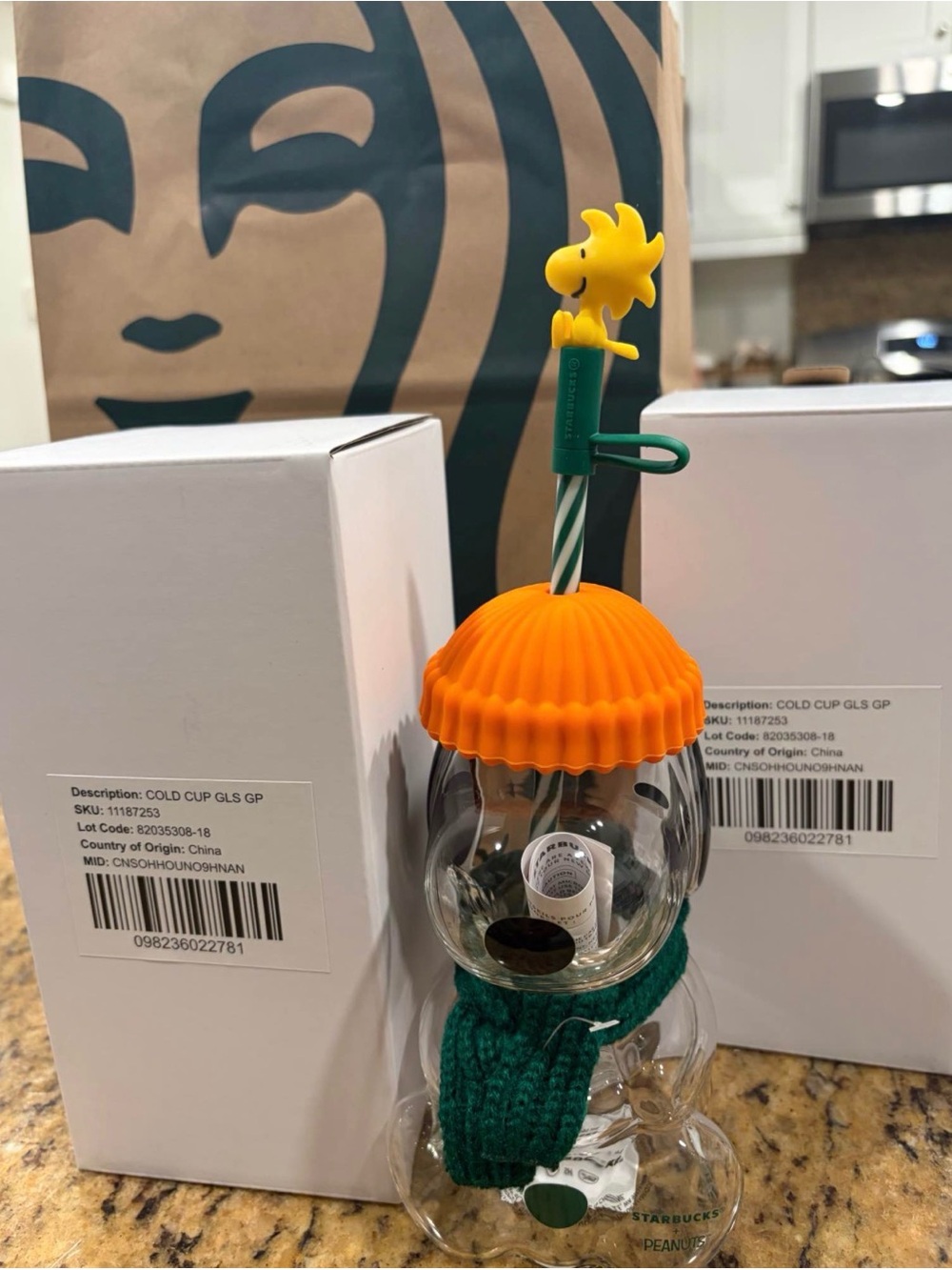 Starbuck Snoopy -Shaped Cold Cup with Orange Lid and Green Scarf- sold out